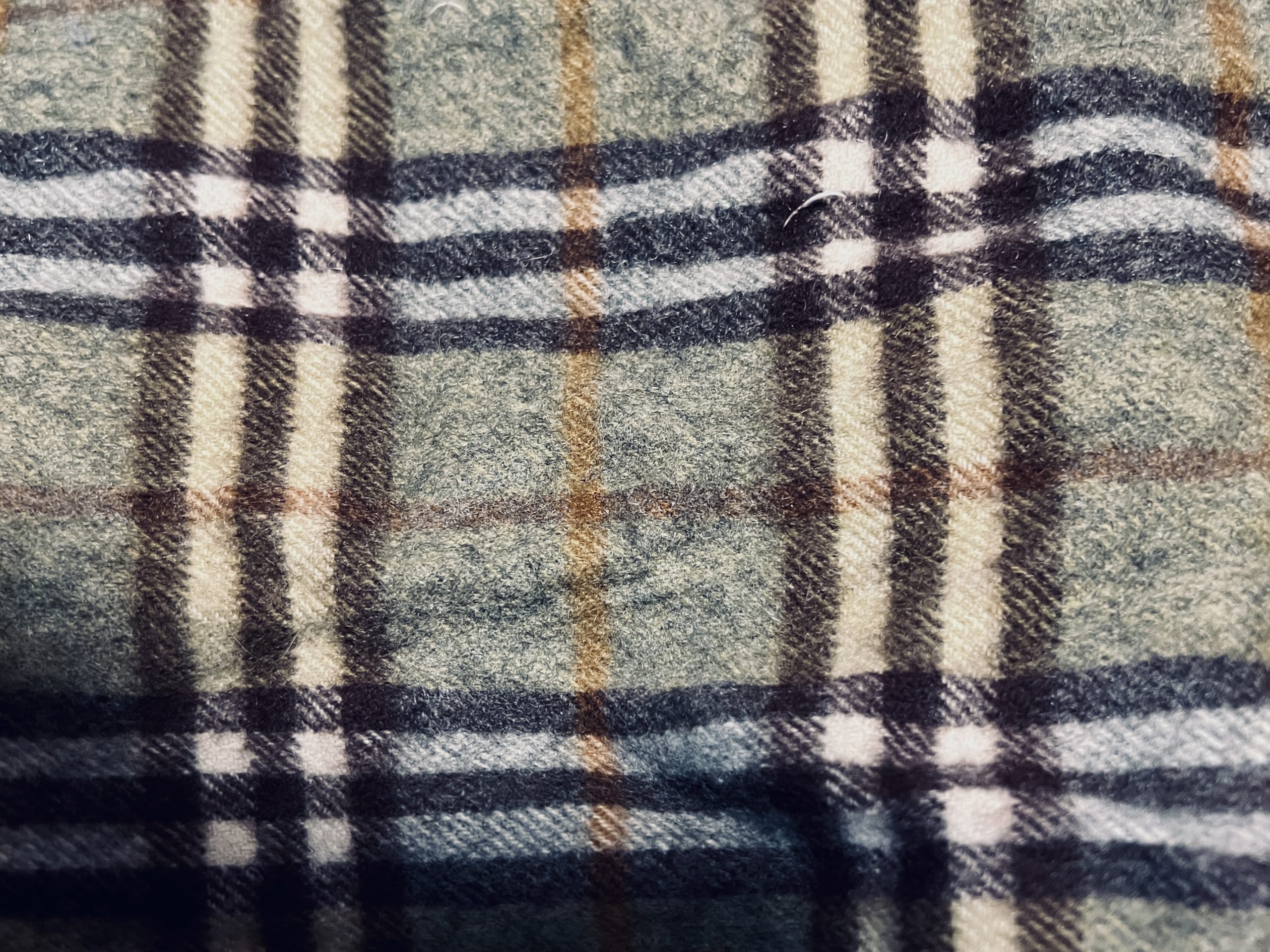 甲斐荘楠音が描きたかったのは本当に「あやしい絵」だったのか