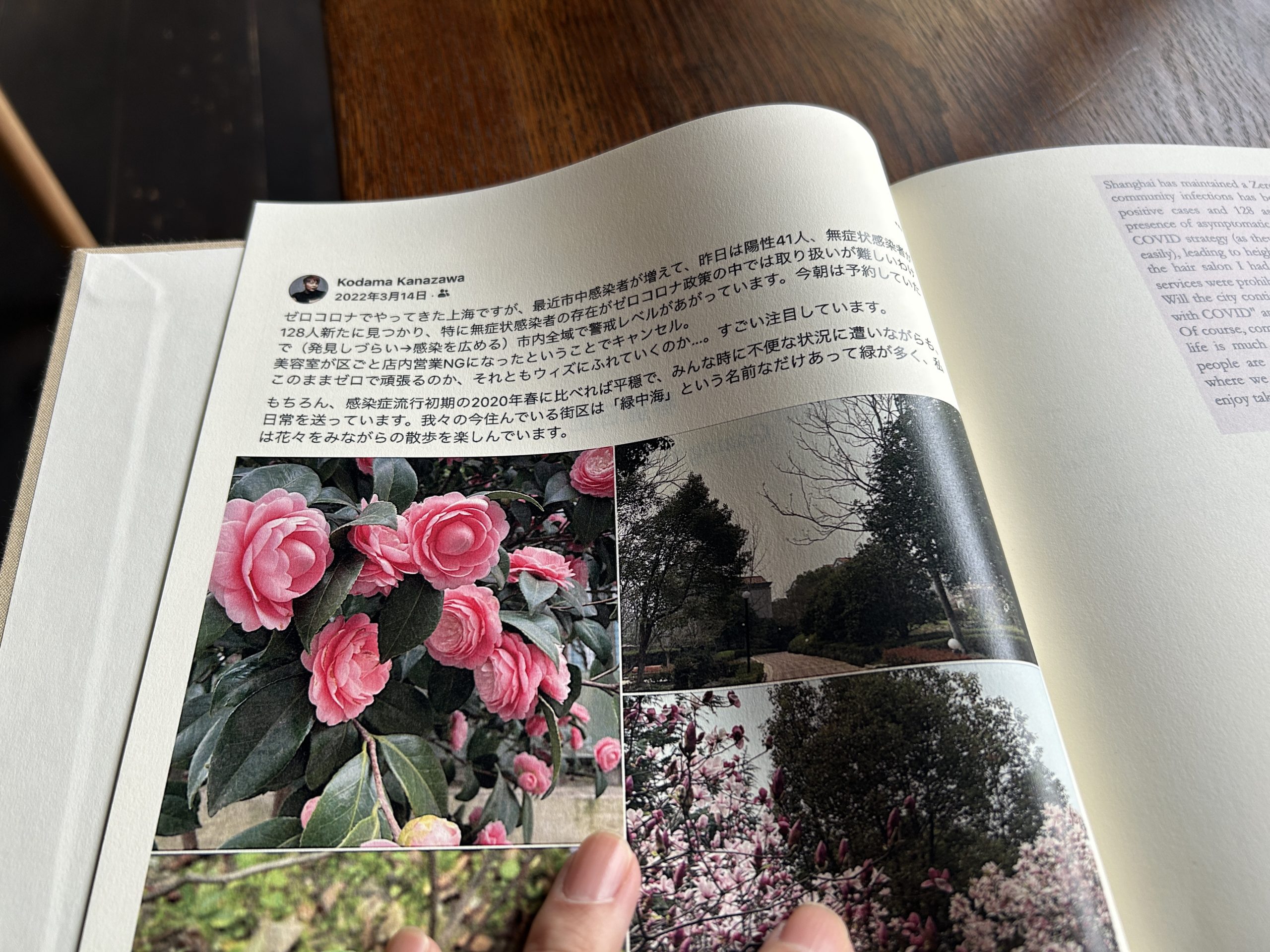 展覧会備忘録 2024年10月～12月」三木学評 - 美術評論＋