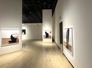 鷹野隆大の東京都写真美術館での展示