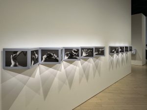 鷹野隆大の東京都写真美術館での展示
