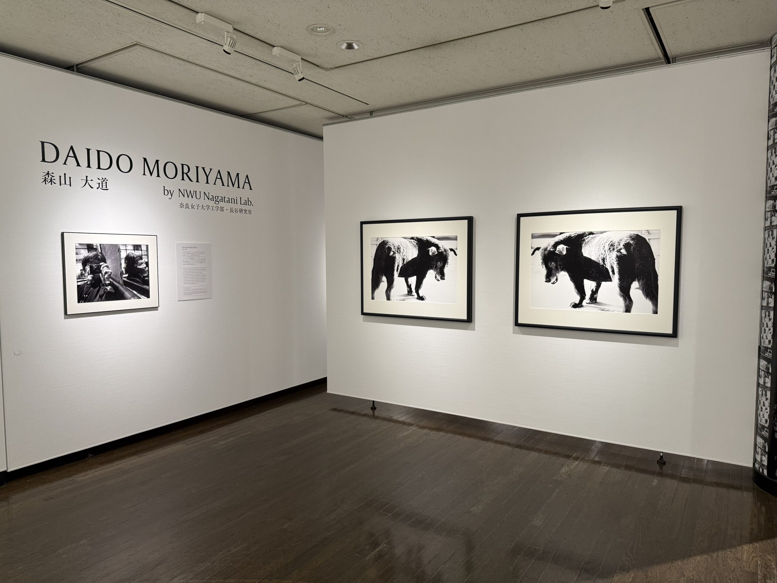 森山大道が見た視線から新たな感性と創造を紡ぐ「複製される感性 DAIDO